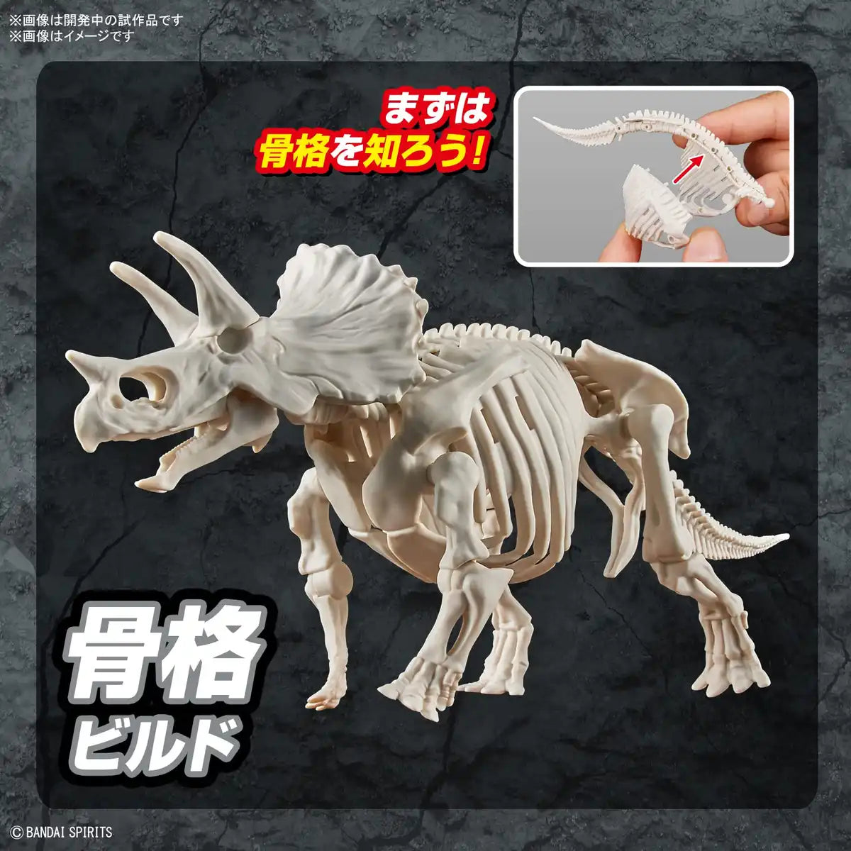 Bandai Spirits Planosaurus Tric. Color-Coded Plastic Model