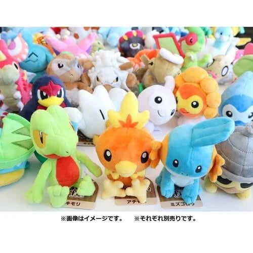 Pokemon Center Original Plush Pokemon Fit Mudkip