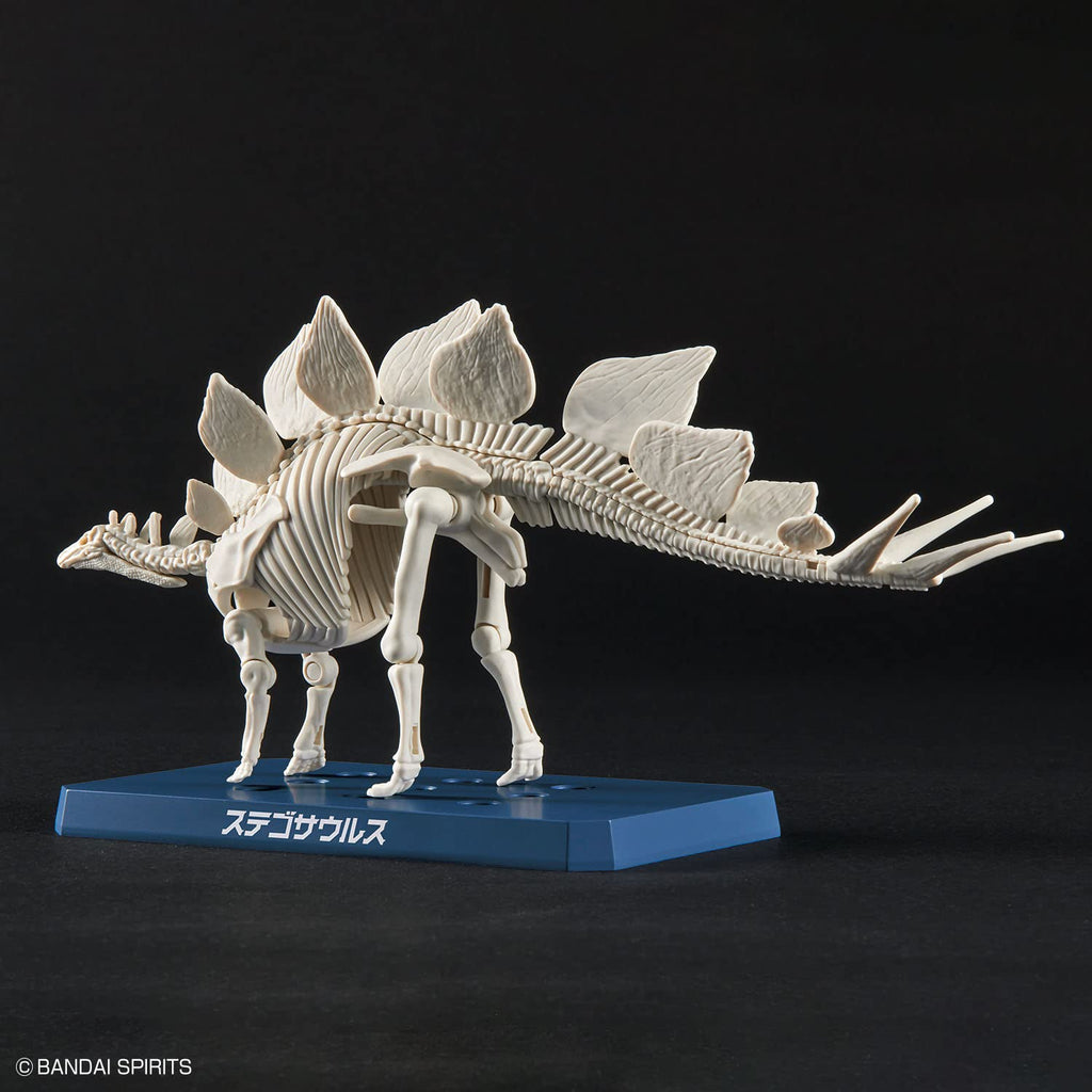 Bandai Spirits Planosaurus Stegosaurus Model