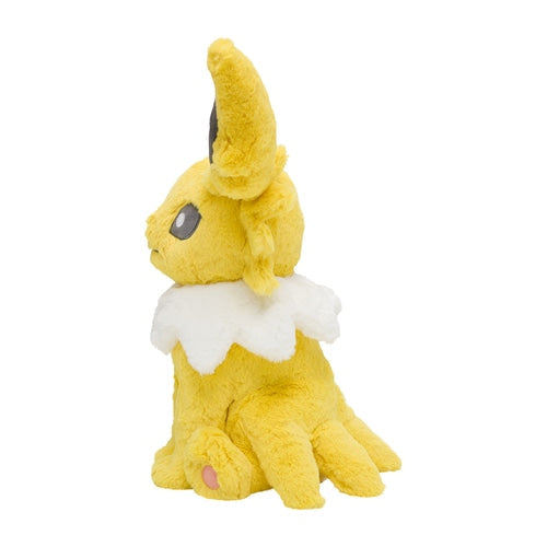 Pokemon Center Original Fluffy Hug Stuffed Toy Sanders