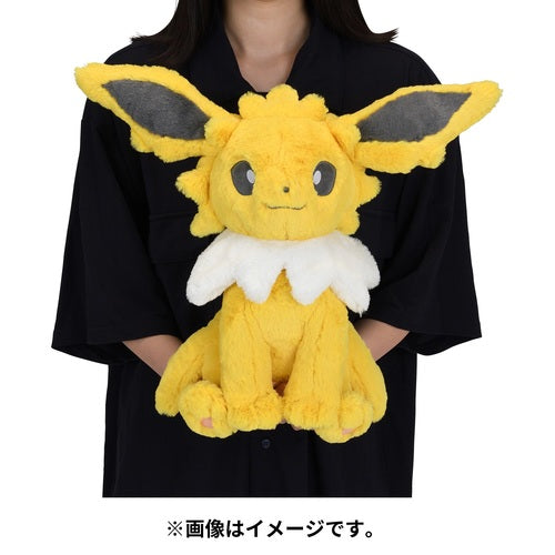 Pokemon Center Original Fluffy Hug Stuffed Toy Sanders