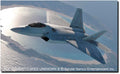 Hasegawa Creator Works Series Ace Combat 7 F-22 Raptor Moebius 1/48 Japan Plastic Model Sp571