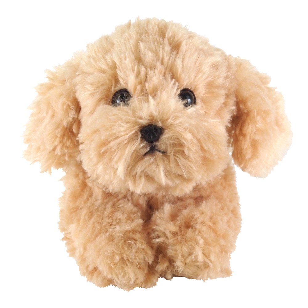 Sun Lemon Plush Doll Lap Dog Plush Hiza Wanko Toy Poodle Beige Tjn