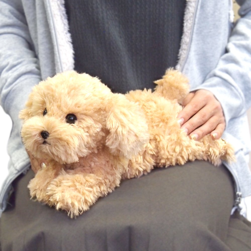 Sun Lemon Plush Doll Lap Dog Plush Hiza Wanko Toy Poodle Beige Tjn