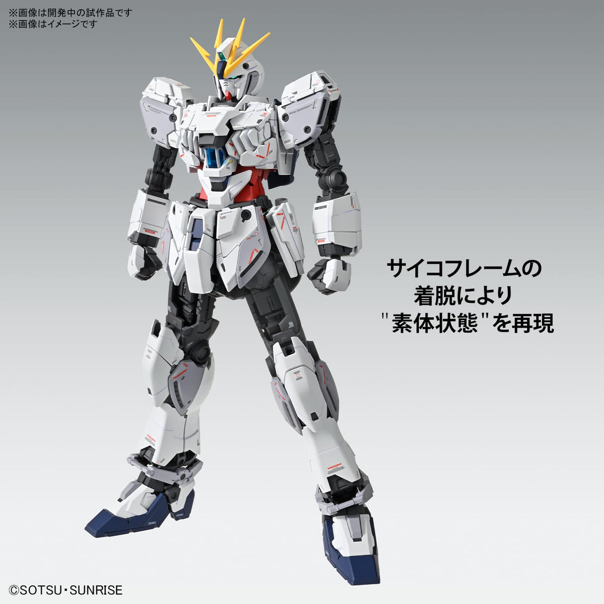 Bandai Spirits 1/100 Scale Mg Mobile Suit Gundam NT Narrative C Equipment Ver.Ka Model