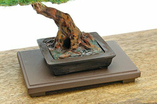 Platts 1/12 The Bonsai Vol.2 Plastic Bon-02