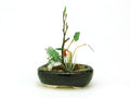 PLATZ Bonn03 The Bonsai Kobanbachi Planting Black 1/12 Scale Finished Model