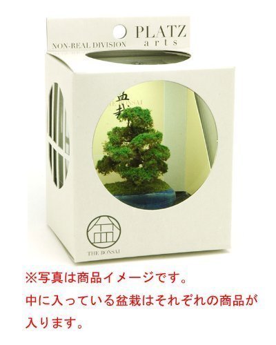 PLATZ Bonn04 The Bonsai Kobanbachi Planting Light Blue 1/12 Scale Finished Model