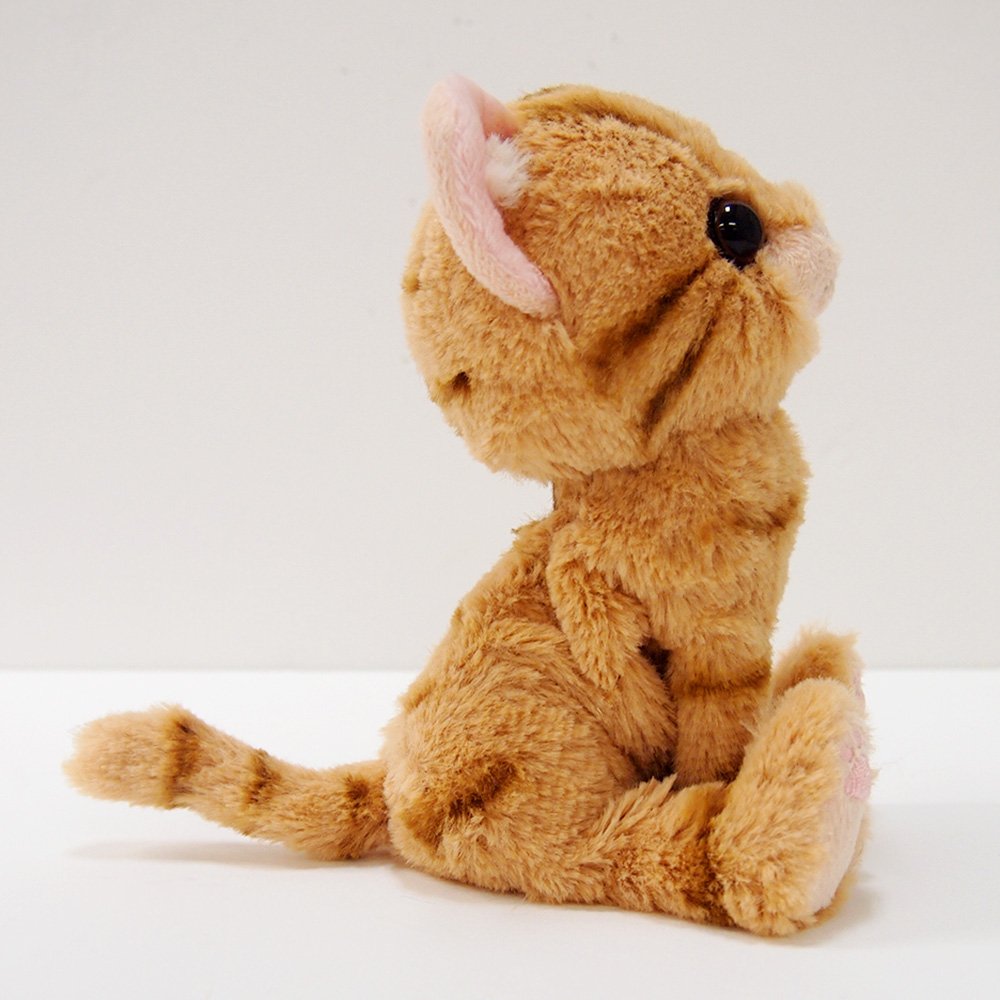 SUNLEMON Plush Doll Kitten American Shorthair Brown Size S Tjn