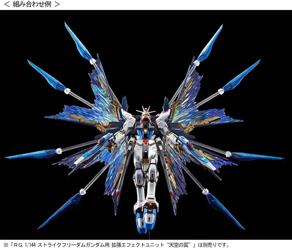 Bandai 1/144 Strike Freedom Gundam Titanium Finish RG Model Kit